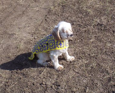 Frankie Modeling His New Crochet Coat