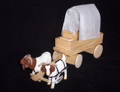 Goat powered covered wagon