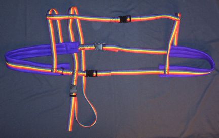 Rainbow w/ Purple Padding Harness