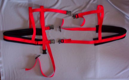 Red w/ Black Padding Harness
