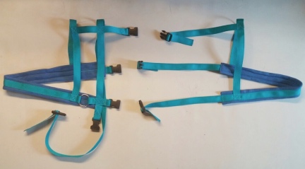 Turquoise Blue Goat Harness